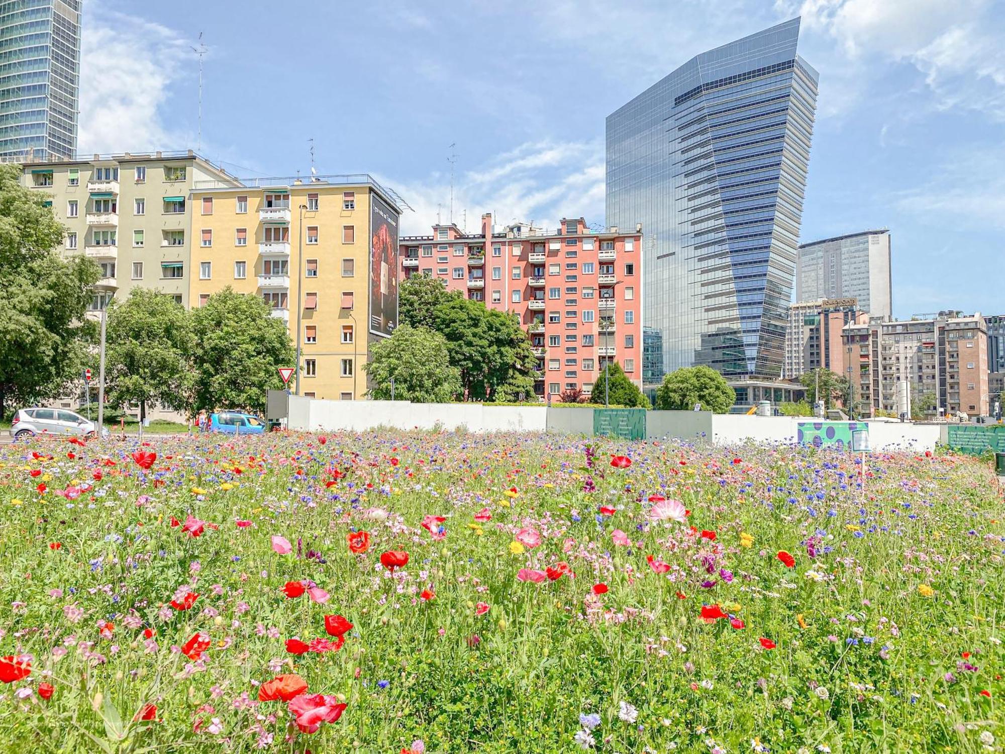Paoli Suite Bosco Verticale - 15 Min From Duomo Милано Екстериор снимка